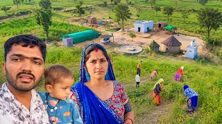 🌿 हरे-भरे मोठ काटने की इतनी जल्दी क्यों? लोग हैरान! 😲