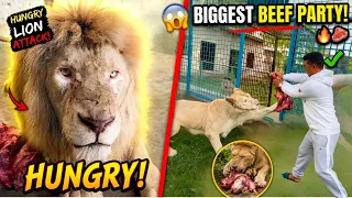 Hungry Lion Attack 😱 | Aaj Sab Animals Ko Beef Ki Party Karwa Di 🥩🦁🔥