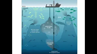 Conde, Mining questions of ‘what’ and ‘who’: deepening discussions of the seabed for future policy