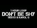 Tiësto & Karol G - Don't Be Shy (1 Hour Loop)