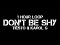 Download Lagu Tiësto \u0026 Karol G - Don't Be Shy (1 Hour Loop)