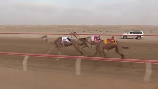 الشوط 6 هوايل للسيد حمدان بخيت فطيس المنصوري توقيت 9 40 62 