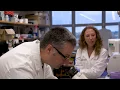 Internal Medicine Residency Physician Scientist Training Program Ohio State Medical Center