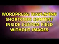 Wordpress Displaying shortcode content inside custom field without images