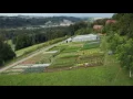 Blue Root Harvest Co