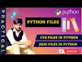 Python Files How to format CVS files in Python JSON files in Python