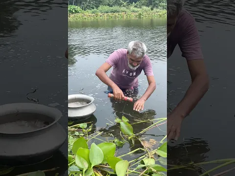 Beautiful village fishing #fishing #handfish #fish