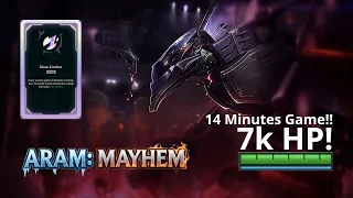 Aram Mayhem - Malphite TANK rock solid