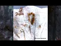 Download Lagu Ode to Disintegration - Meticulously Subdivided (Full Album Stream)