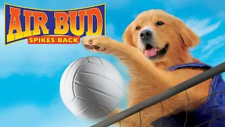 AIR BUD SPIKES BACK Official Movie 