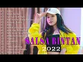 Download Lagu SALSA BINTAN COVER 2022 Full album