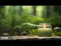 Relaxing Music for Spa Treatments, Relaxing Spa Music No Ads