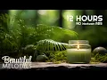 Relaxing Music for Spa Treatments Relaxing Spa Music No Ads