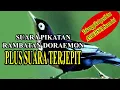 Pikatan Rambatan Doraemon paling MANJUR #viralvideo #reels #shorts