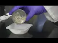 Trumbull County releases overdose statistics
