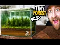 Download Lagu Building the Ultimate Terrarium for a Mystery Animal!