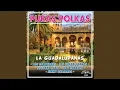 Alicia Irene Puras Polkas