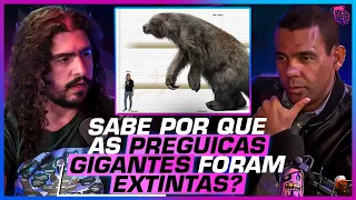 A VERDADEIRA INFLUÊNCIA HUMANA na EXTINÇÃO da MEGAFAUNA - PIRULLA e RODRIGO SILVA
