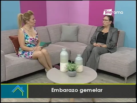 Embarazo gemelar