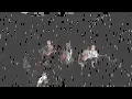 Superfly「やさしい気持ちで」(Cover)＠ultrafly