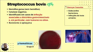 GENÊRO STREPTOCOCCUS