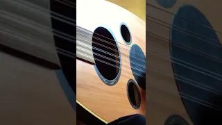 فستان الحلوة عود 