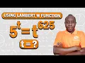 Lambert W Function Solves This Wild Equation