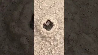 ه ذ ا خ ل ق الل ه Quran الشيخ المنشاوي المنشاوي تلاوة خاشعة قران كريم  ه ذ ا خ ل ق الل ه Quran الشيخ المنشاوي المنشاوي تلاوة خاشعة قران كريم