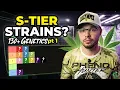I Ranked Every Strain I ve Ever Grown S Tier to F Tier No Mercy pt 1