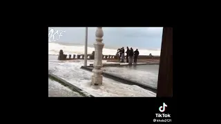 حالات واتس صباح الصباح البشرية طلع النهار بعد الفجريه واسكندريه غرقانه ميه زيزو النوبي 