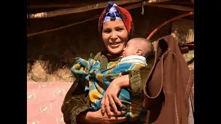 اجمل اغنية عن الام ياويلي من دار مفيهاش يما 