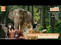 Download Lagu MURAH PARAH! Kebun Binatang Ragunan Zoo 2024 | Jakarta Selatan #destinasiid