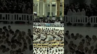 المقطع كامل على القناة استمع كيف حاكا الشيخ ياسر الشيخ المنشاوي ياسر الدوسري 