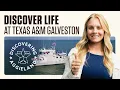 Texas A M University at Galveston Discovering Aggieland