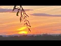 The Deer’s Cry from the album The Pilgrim, Shaun Davey