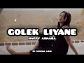 Download Lagu Happy Asmara - Golek Liyane (lirik/lyrics)
