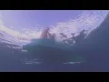 죠지(george) - hanaumabay (feat. 차울) Official Lyric Video