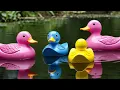 Download Lagu 5 Little Ducks(Learn Colors Song) | Lalafun Nursery Rhymes \u0026 Kids Songs