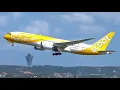 Download Lagu 14 MINUTES Wonderful PLANE SPOTTING at Denpasar I Gusti Ngurah Rai Bali.