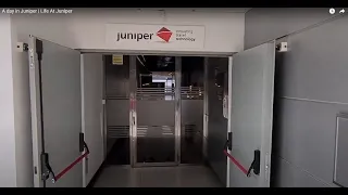 A day in Juniper Life At Juniper