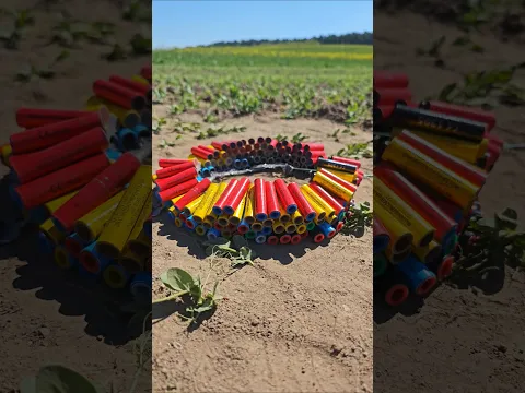 Banger 200 Vogelschreck #vs #polenböller #fireworks