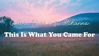 calvin harris this is what you came for ft rihanna lyrics 