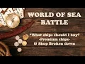 World of Sea Battle Guide Store Premium Ship Notable Mentions - What ship should I buy