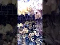 JoAnn s store floral arrangements in Myrtle Beach South Carolina