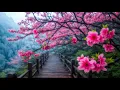 Download Lagu Calming, Relaxing Music Relieves Stress and Helps You Stop Thinking Too Much #13