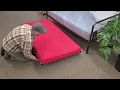 Trundle Bed Review - Can this Garvee Hide-a-Bed Support an Adult