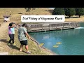 Vlog 23 through 23 No Made Us Grumpy Trout Fishing