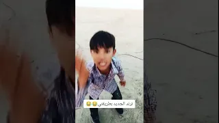                             دندنها