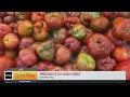 Your Produce Man Sunrise Mall Pt 2