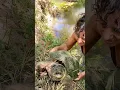 Download Lagu Big ol Snapping Turtle !!!!